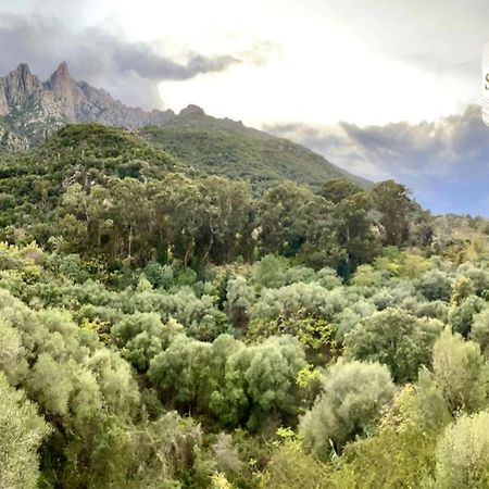 Chez Francoise Daire Porto  Dış mekan fotoğraf