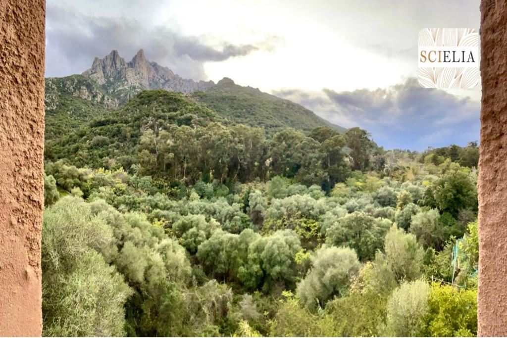 Chez Francoise Daire Porto  Dış mekan fotoğraf