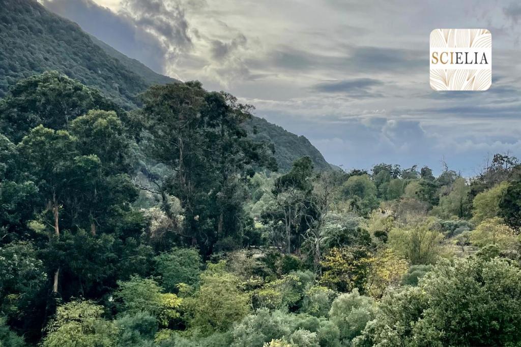 Chez Francoise Daire Porto  Dış mekan fotoğraf