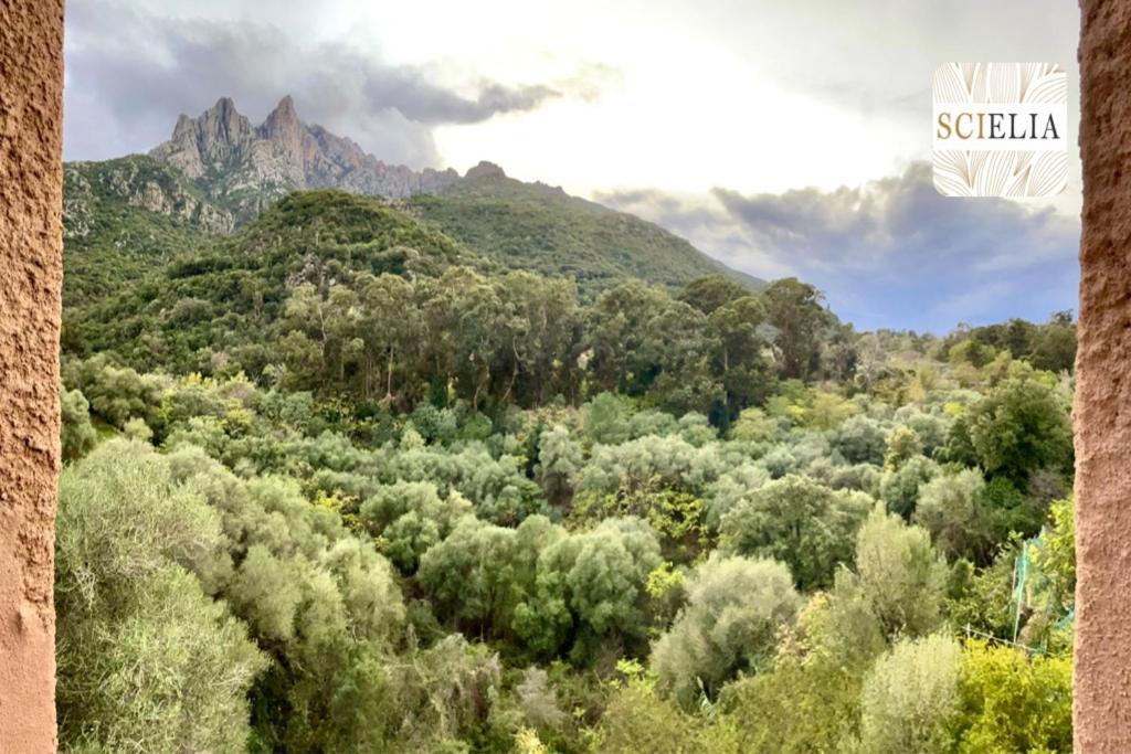 Chez Francoise Daire Porto  Dış mekan fotoğraf